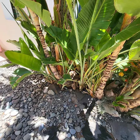 2 Calle Azucenas Apartament